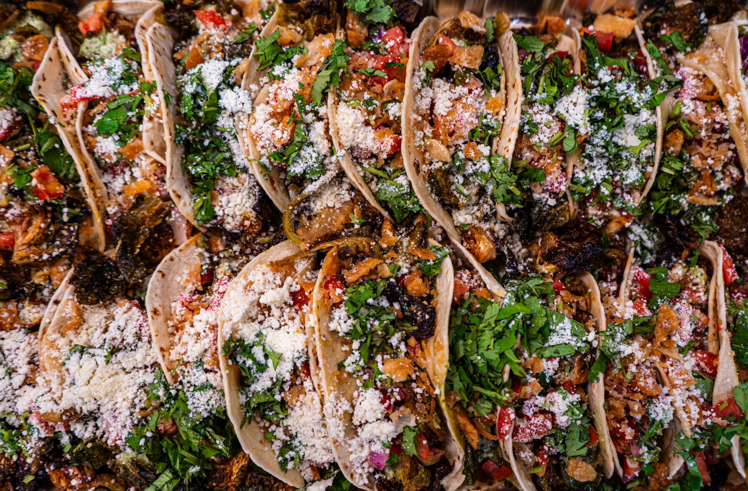 Brussel Sprout Tacos